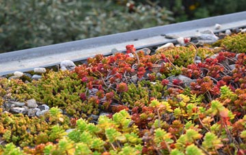 the cost of Reed End green roof installation