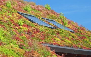 Reed End living roof systems